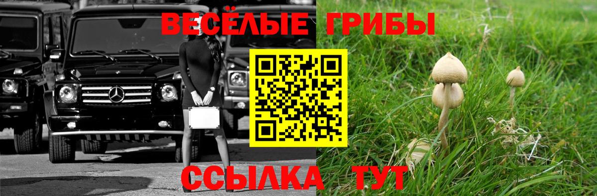 где можно купить наркотик  Псилоцибиновые грибы Psilocybine cubensis  Псилоцибиновые грибы мицелий  Вход с VPN  Ноябрьск 